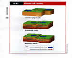 Chap 5 Earthquakes