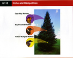 Chap 10 Ecosystems