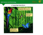 Chap 10 Ecosystems