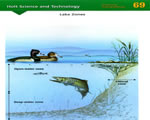 Chap 10 Ecosystems