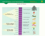 Cell Structure and Function