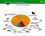 Mollusks, Arthropods and Echinoderms