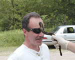 Fish, Amphibians and Reptiles