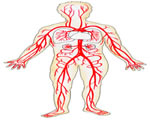 Circulation