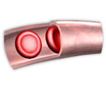 Circulation
