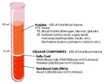 Circulation