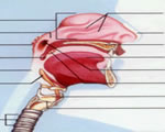Respiration and Excretion