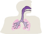 Respiration and Excretion