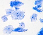 Microscopy