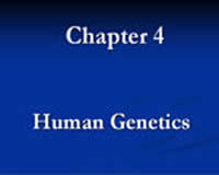 Modern Genetics